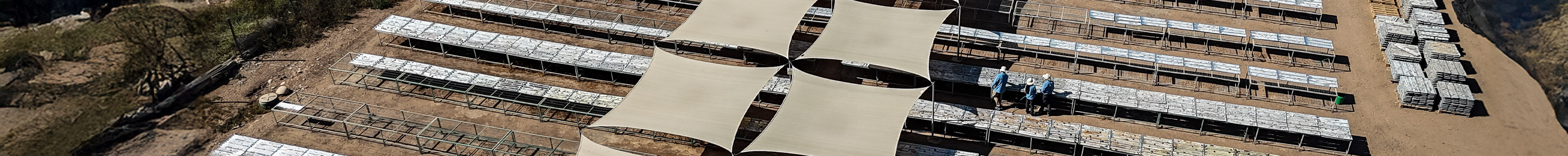 ATEX-Header-About-Us